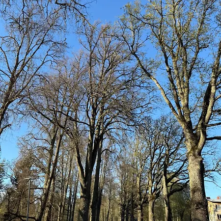 Kuelaliskorter 公寓