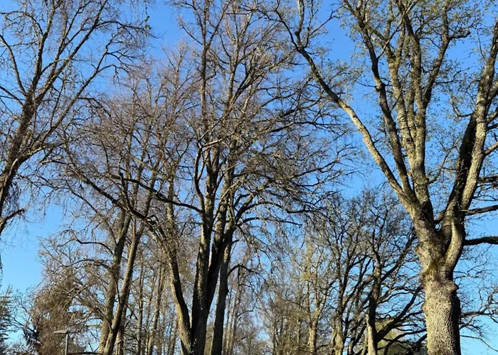 Kuelaliskorter Lejlighed